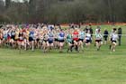 Senior Womens start, McCain Inter Counties Cross Country, Cofton Park, Birmingham.